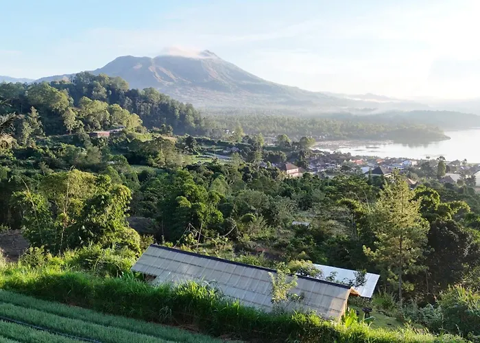 Calidas Hill Orman Evi