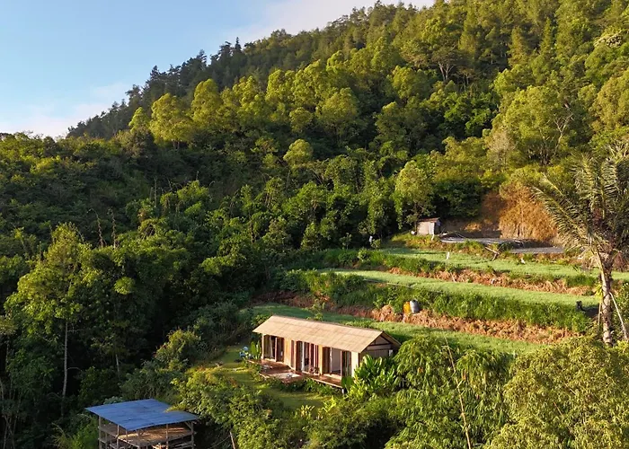 Calidas Hill Orman Evi Kintamani